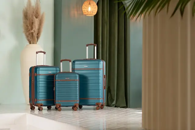 passenger's luggage in a room
